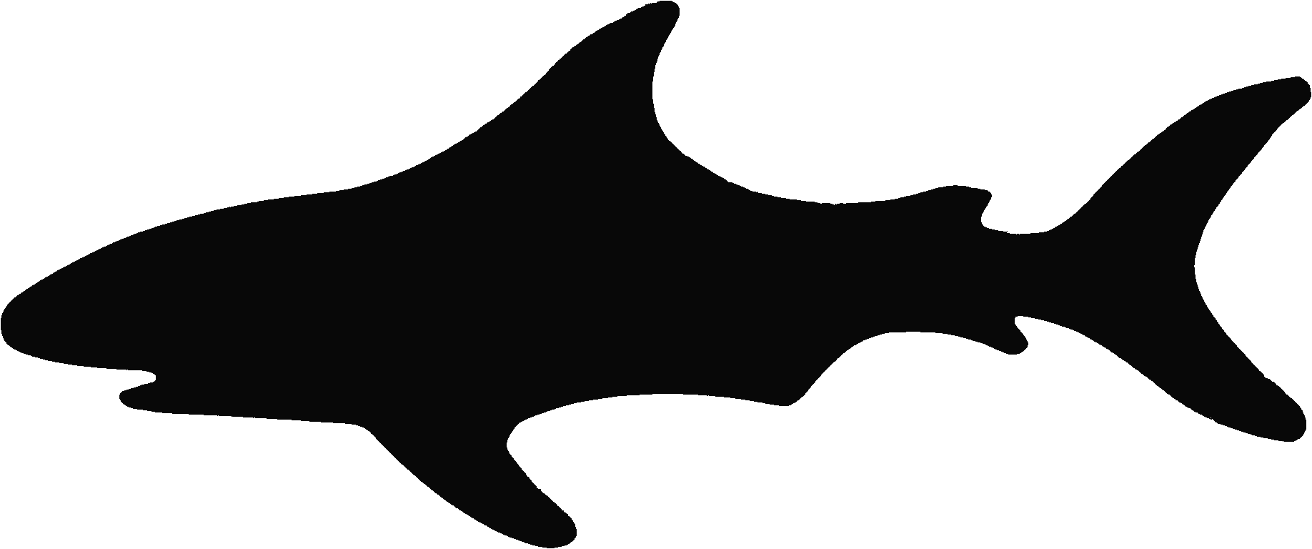 shark silhouette wait_for_enter