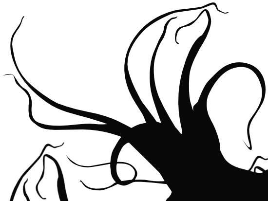 tentacles silhouette